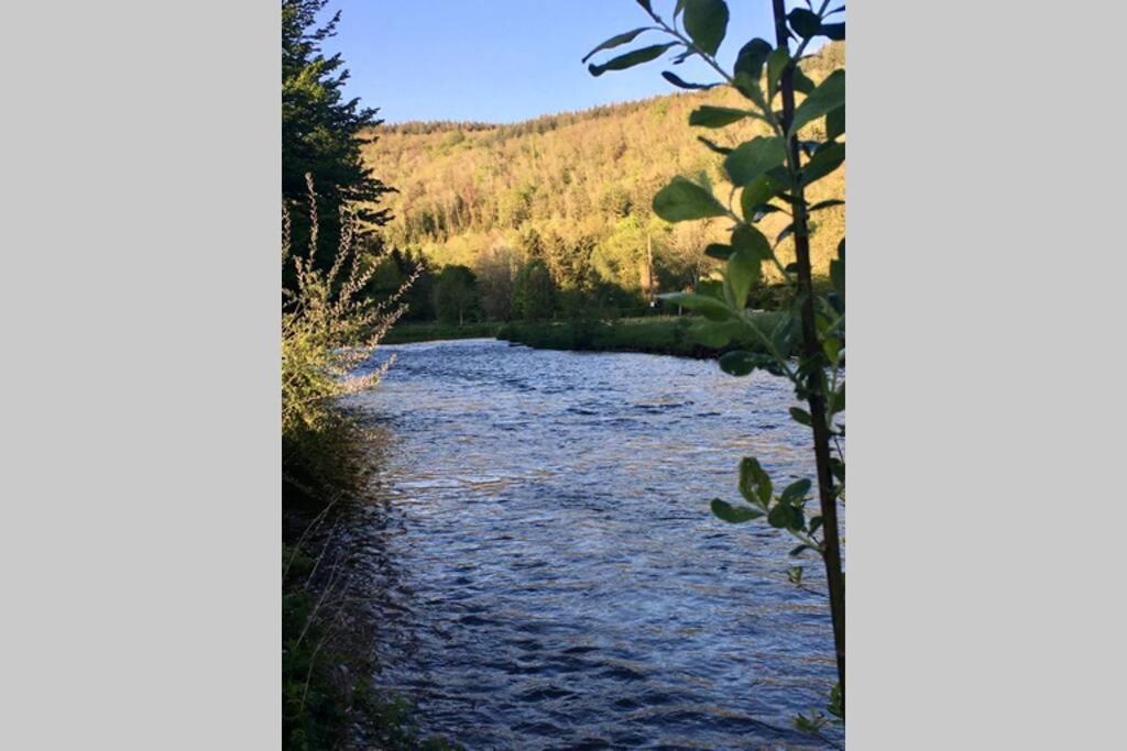 Gite Authentic Ardenne Vresse-sur-Semois Eksteriør bilde