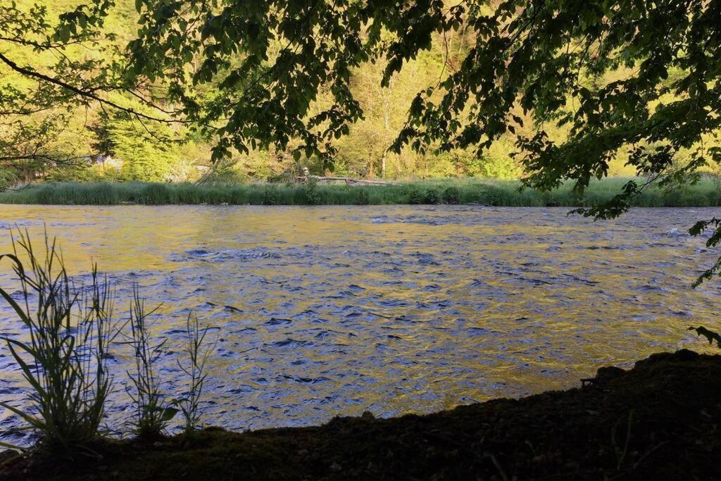 Gite Authentic Ardenne Vresse-sur-Semois Eksteriør bilde